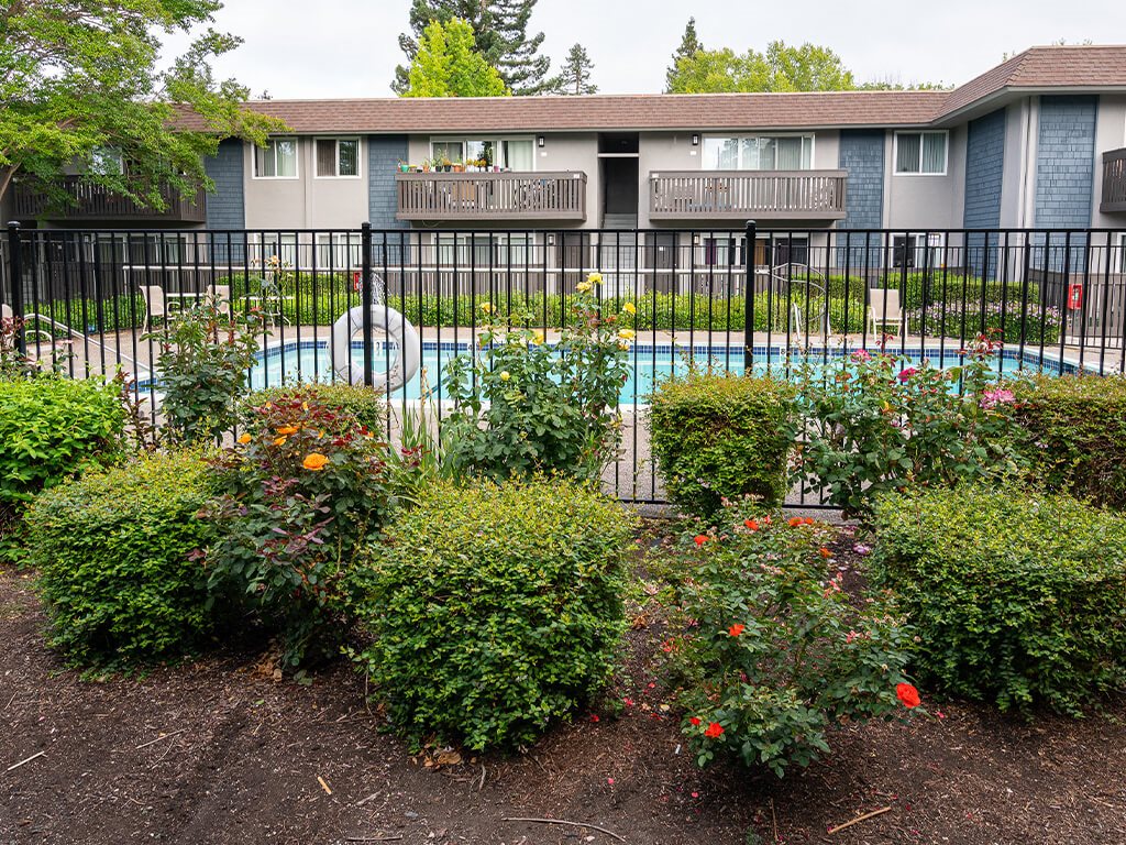 Exterior Landscap and Pool at Wyndover Apartment Homes in Novato CA